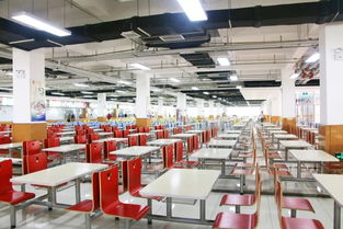 筑牢校園食安防線 打造健康成長環(huán)境——保定市省級校園食品安全標(biāo)準(zhǔn)食堂觀摩培訓(xùn)會在長城學(xué)校成功舉辦